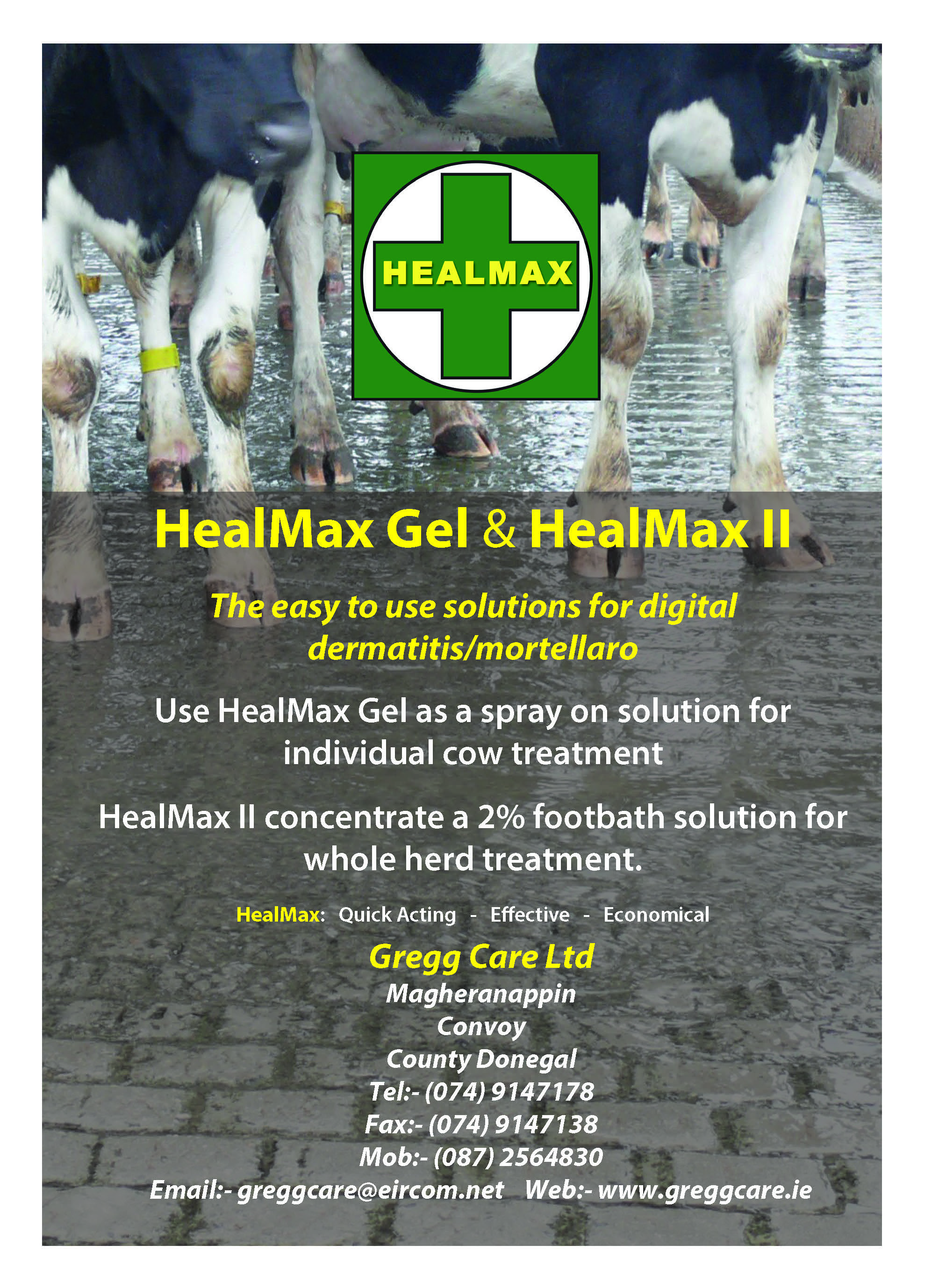 Heal Max Gel 500 ml