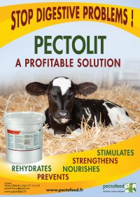 Pectolit Pro